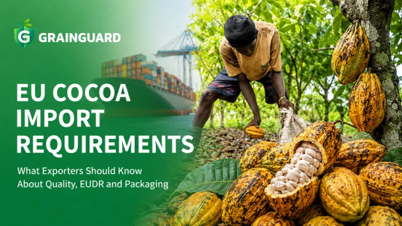 Requisiti per l'importazione di cacao nell'UE Cosa dovrebbero sapere gli esportatori su qualità, EUDR e imballaggio